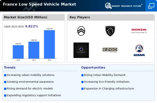 France Low Speed Vehicle Market Infographic