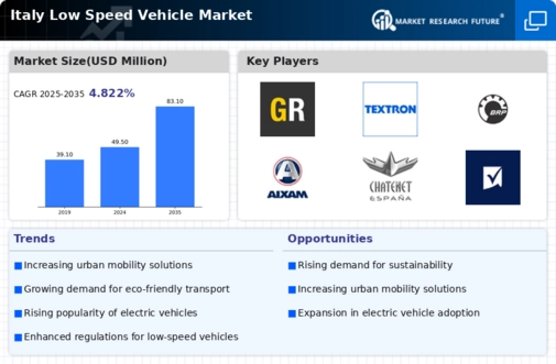 Italy Low Speed Vehicle Market Infographic