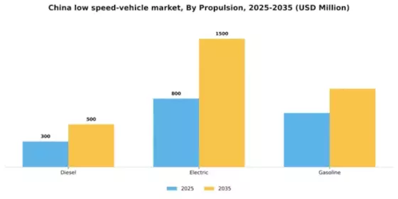China Low Speed Vehicle Market Segment Image 2