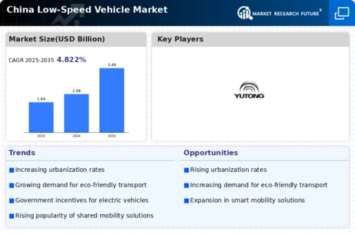 China Low Speed Vehicle Market Infographic