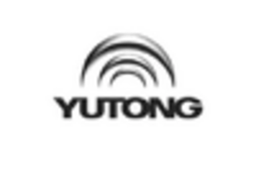 China Low Speed Vehicle Market key player