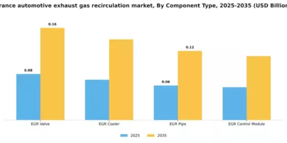 France Automotive Exhaust Gas Recirculation Market Segment Image 1