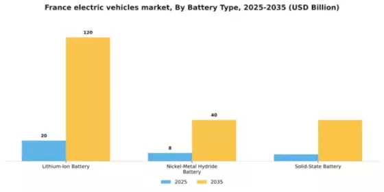 France Electric Vehicles Market Segment Image 0