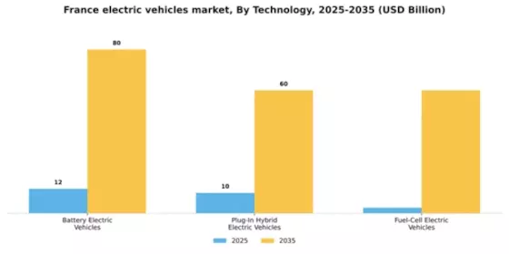 France Electric Vehicles Market Segment Image 2