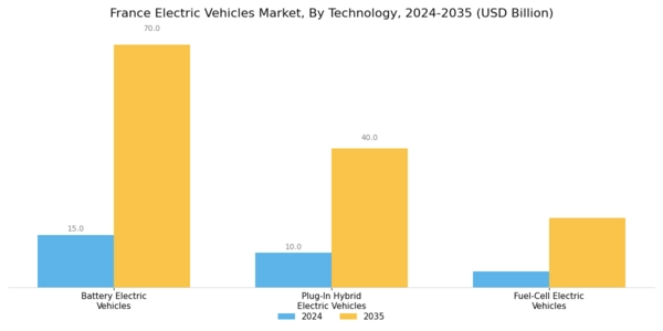 France Electric Vehicles Market Segment Image 0