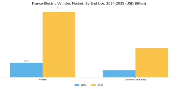 France Electric Vehicles Market Segment Image 4