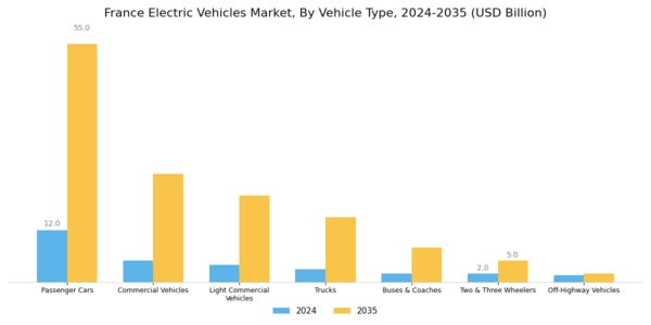 France Electric Vehicles Market Segment Image 5