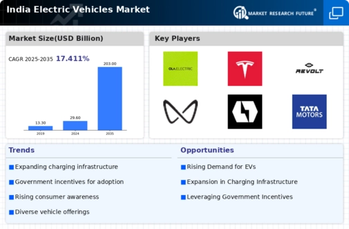 India Electric Vehicles Market Infographic