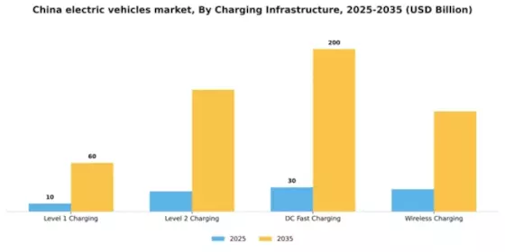 China Electric Vehicles Market Segment Image 1