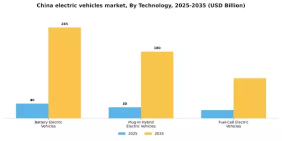China Electric Vehicles Market Segment Image 2