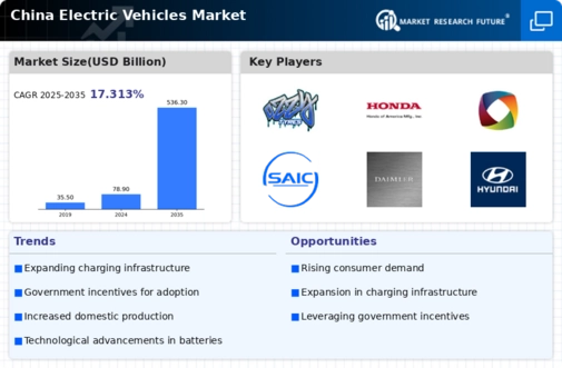 China Electric Vehicles Market Infographic