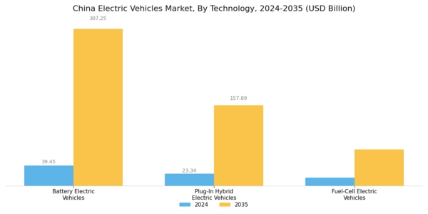 China Electric Vehicles Market Segment Image 0