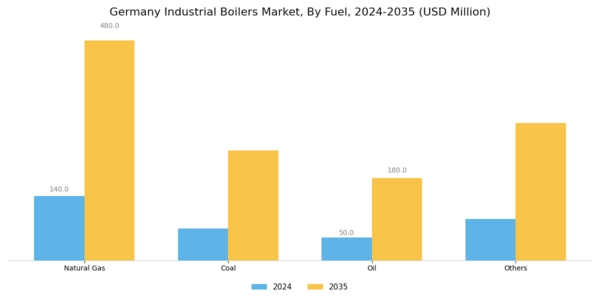 Germany Industrial Boilers Market Segment Image 0