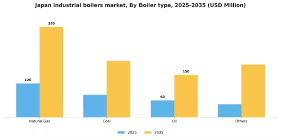Japan Industrial Boilers Market Segment Image 0