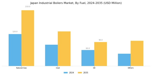 Japan Industrial Boilers Market Segment Image 0