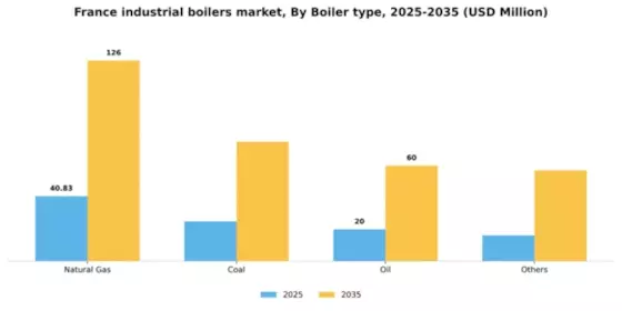 France Industrial Boilers Market Segment Image 0