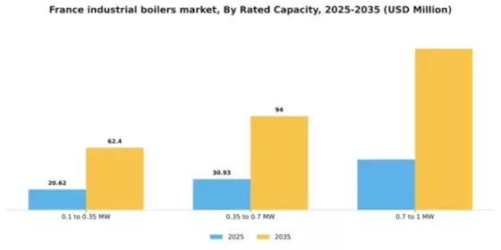 France Industrial Boilers Market Segment Image 2