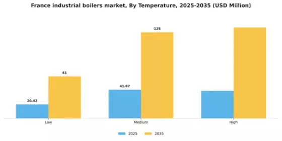 France Industrial Boilers Market Segment Image 3