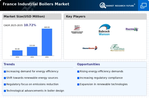 France Industrial Boilers Market Infographic