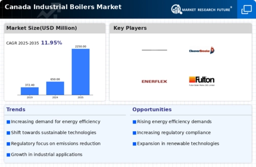 Canada Industrial Boilers Market Infographic