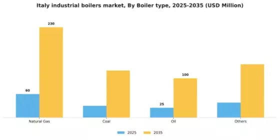 Italy Industrial Boilers Market Segment Image 0