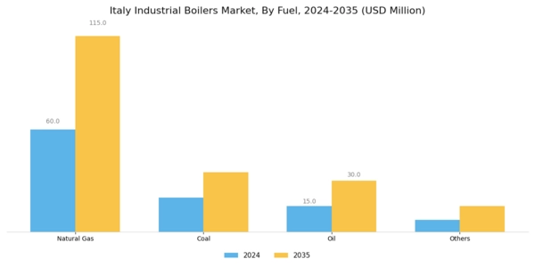 Italy Industrial Boilers Market Segment Image 0