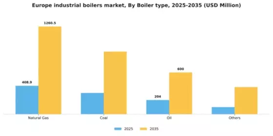 Europe Industrial Boilers Market Segment Image 0