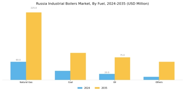 Russia Industrial Boilers Market Segment Image 0