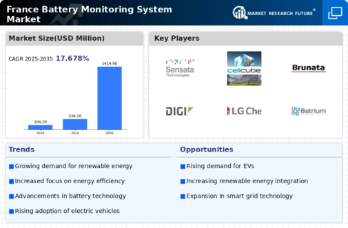France Battery Monitoring System Market Infographic
