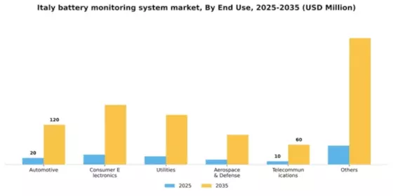 Italy Battery Monitoring System Market Segment Image 2