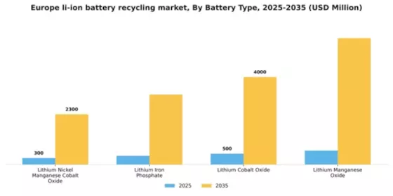Europe Li Ion Battery Recycling Market Segment Image 1