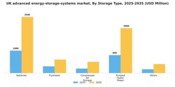 UK Advanced Energy Storage Systems Market Segment Image 1
