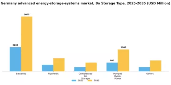 Germany Advanced Energy Storage Systems Market Segment Image 1