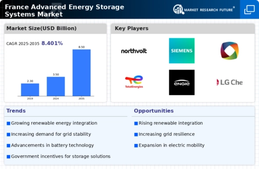 France Advanced Energy Storage Systems Market Infographic