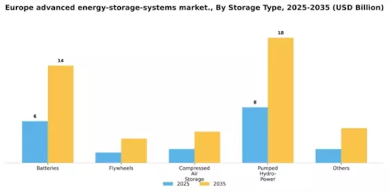 Europe Advanced Energy Storage Systems Market Segment Image 1