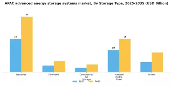 APAC Advanced Energy Storage Systems Market Segment Image 1