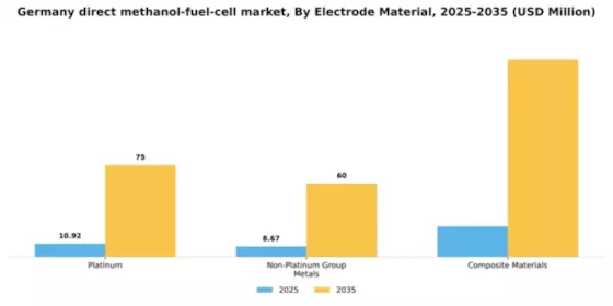 Germany Direct Methanol Fuel Cell Market Segment Image 1