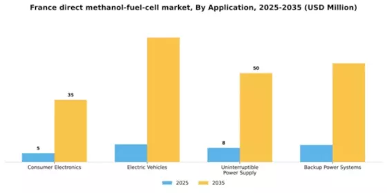 France Direct Methanol Fuel Cell Market Segment Image 0