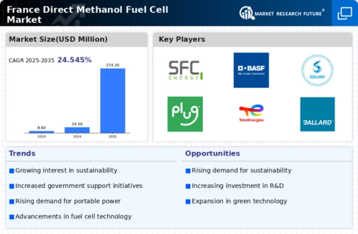 France Direct Methanol Fuel Cell Market Infographic