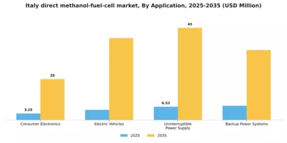 Italy Direct Methanol Fuel Cell Market Segment Image 0