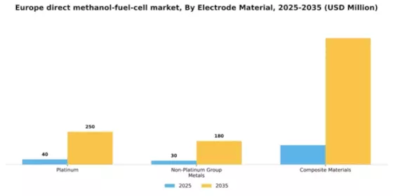 Europe Direct Methanol Fuel Cell Market Segment Image 1