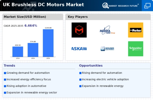 UK Brushless DC Motors Market Infographic