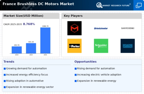 France Brushless DC Motors Market Infographic