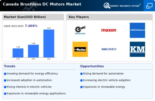 Canada Brushless DC Motors Market Infographic