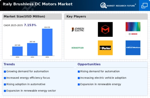 Italy Brushless DC Motors Market Infographic