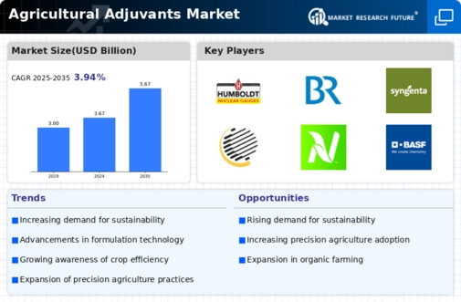 Agricultural Adjuvants Market Infographic