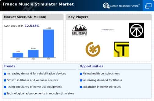 France Muscle Stimulator Market Infographic