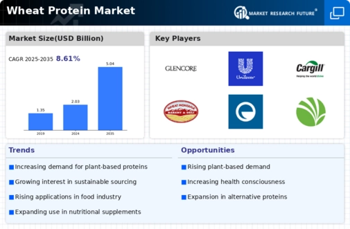 Wheat Protein Market Infographic