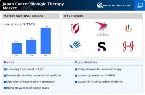 Japan Cancer Biologic Therapy Market Infographic