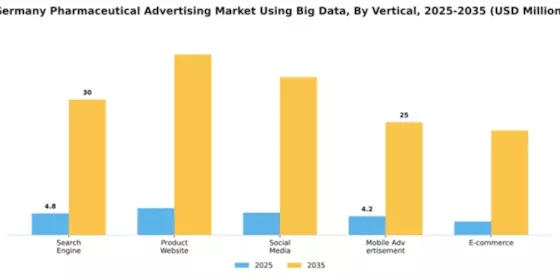Germany Big Data Pharmaceutical Advertising Market Segment Image 2